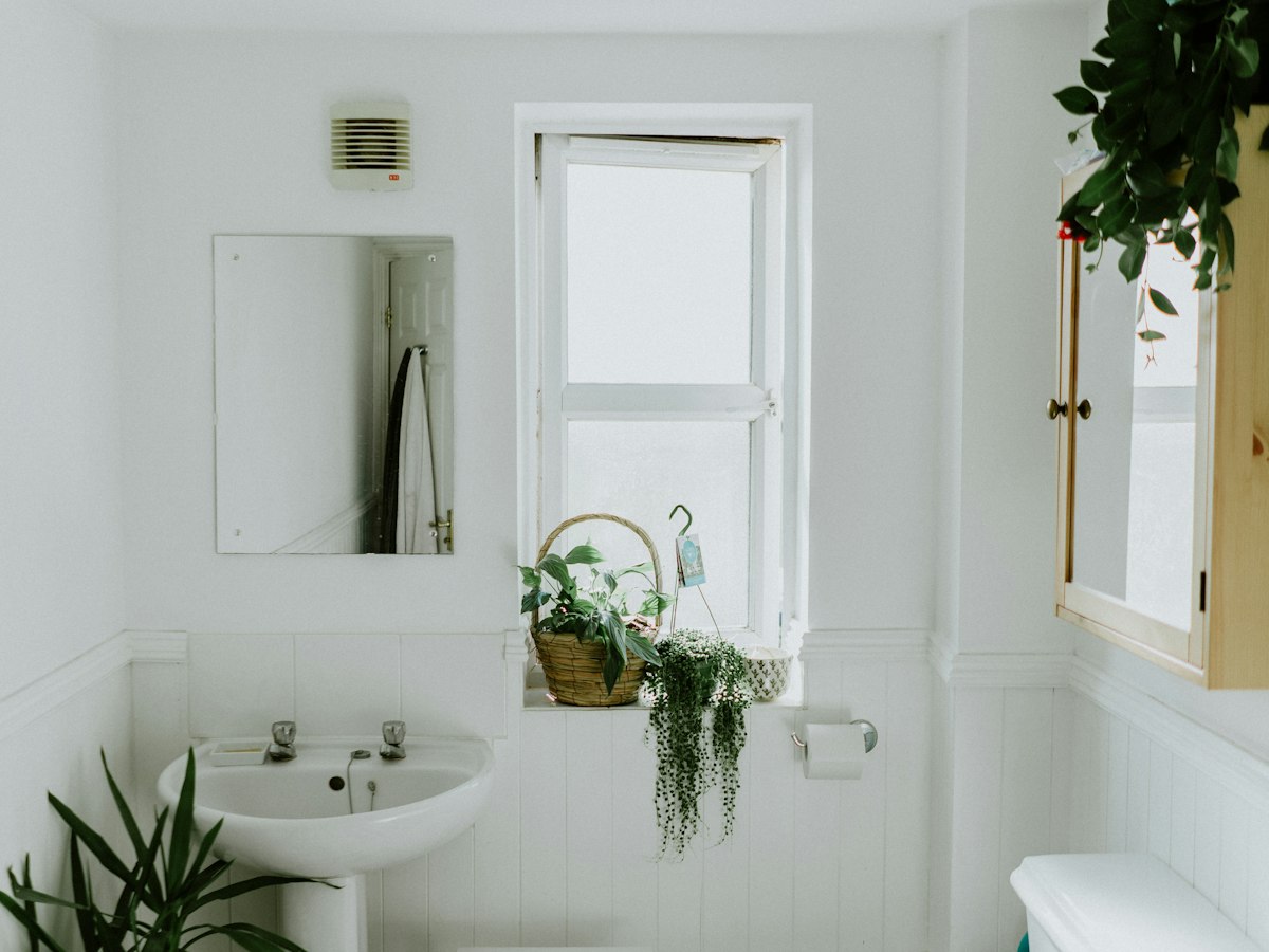 Bright white bathroom with pedestal sink, plants, and window light